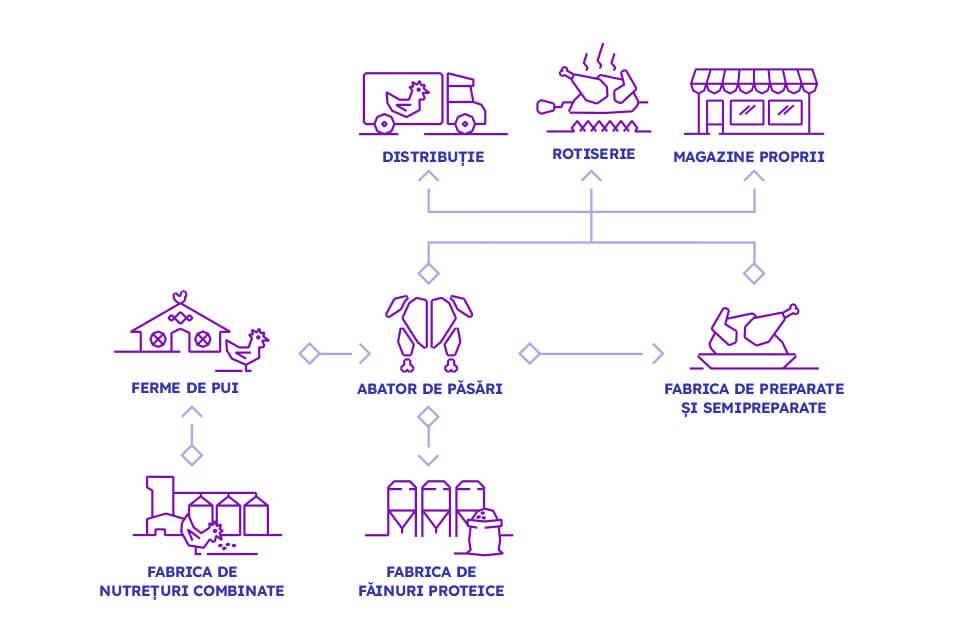 Linii de business Familia Safir